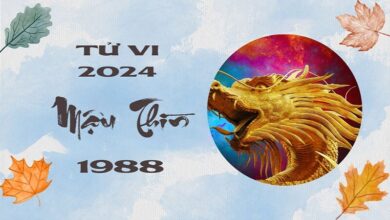 tu-vi-mau-thin-1988-nam-2024